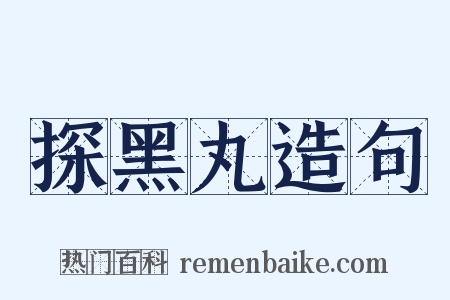 探黑丸造句是什么意思的图片
